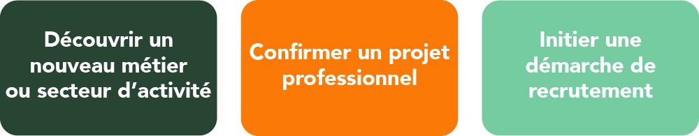 objectifs immersion professionnelle